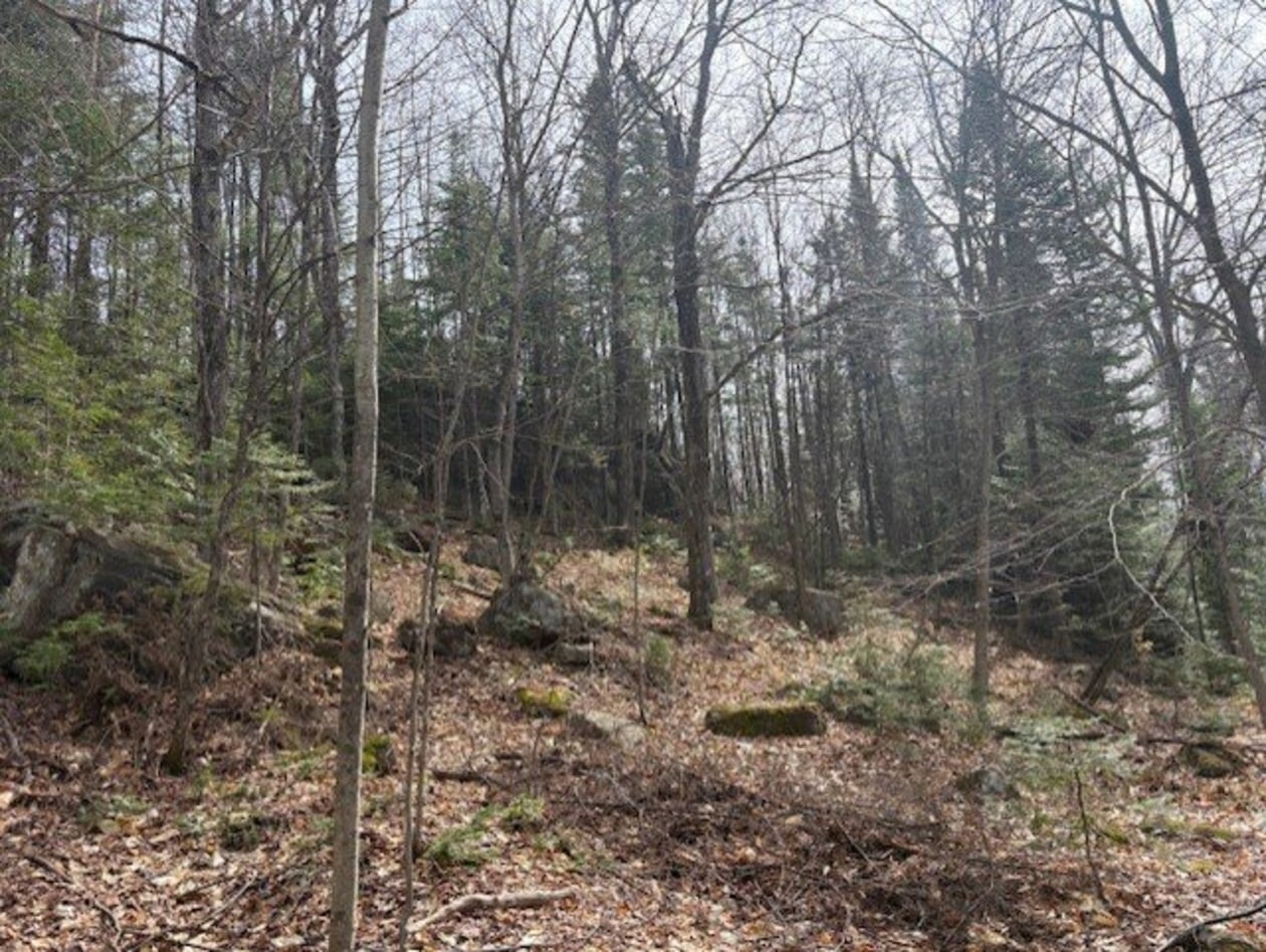 Terrain — 1031, Rg du Sacré-Coeur, Saint-Jean-de-Matha, J0K2S0, Saint-Jean-de-Matha
