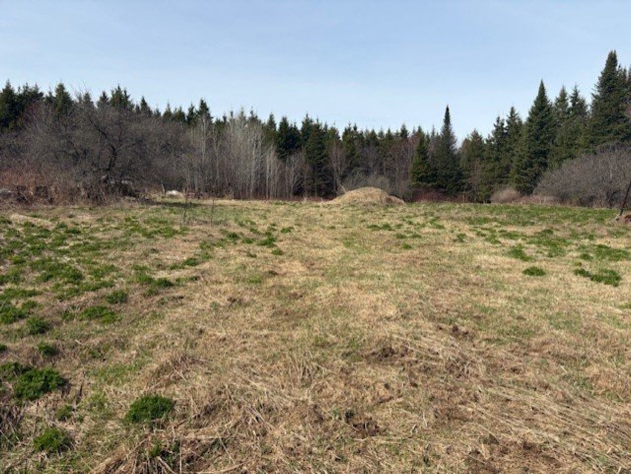 Terrain — 1031, Rg du Sacré-Coeur, Saint-Jean-de-Matha, J0K2S0, Saint-Jean-de-Matha