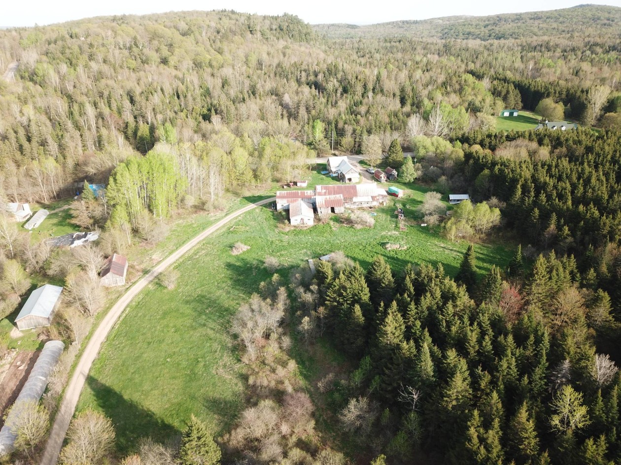Vue d'ensemble — 1031, Rg du Sacré-Coeur, Saint-Jean-de-Matha, J0K2S0, Saint-Jean-de-Matha