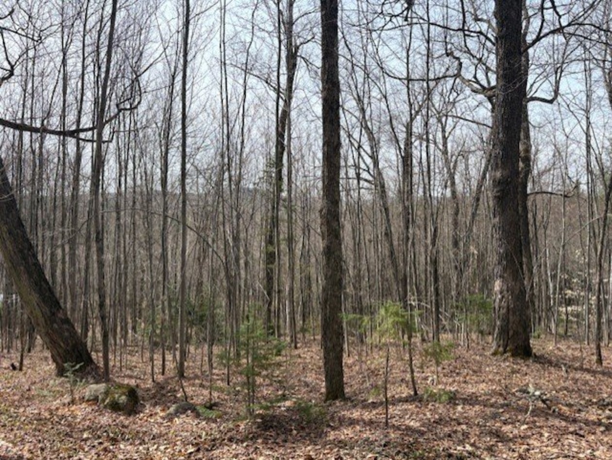Terrain — 1031, Rg du Sacré-Coeur, Saint-Jean-de-Matha, J0K2S0, Saint-Jean-de-Matha