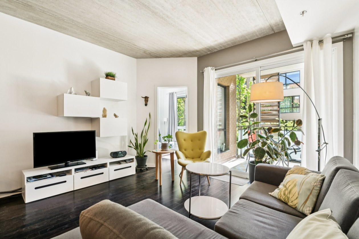 Salon — 4725, Rue Messier, 204, Montréal (Le Plateau-Mont-Royal), H2H2J2, Montréal (Le Plateau-Mont-Royal)