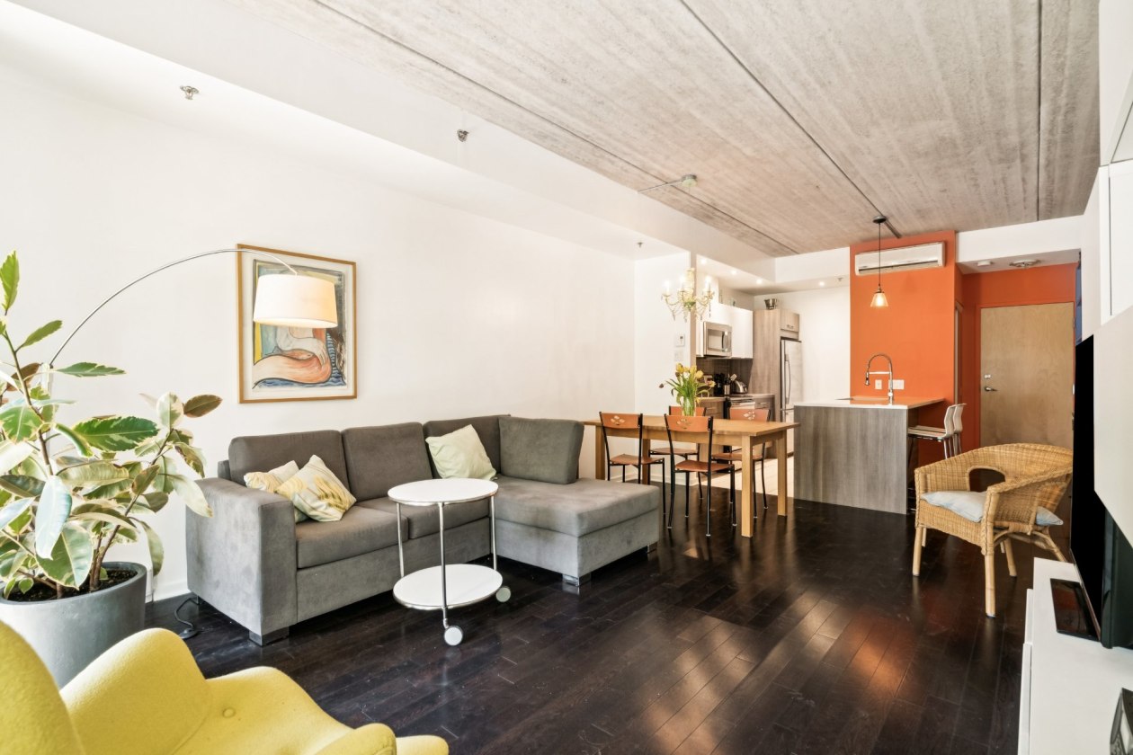 Salon — 4725, Rue Messier, 204, Montréal (Le Plateau-Mont-Royal), H2H2J2, Montréal (Le Plateau-Mont-Royal)