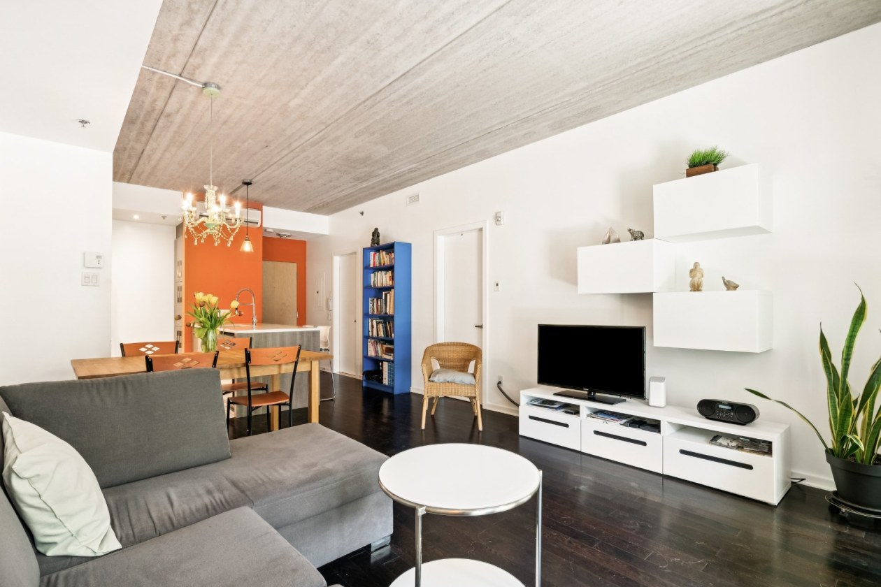 Salon — 4725, Rue Messier, 204, Montréal (Le Plateau-Mont-Royal), H2H2J2, Montréal (Le Plateau-Mont-Royal)