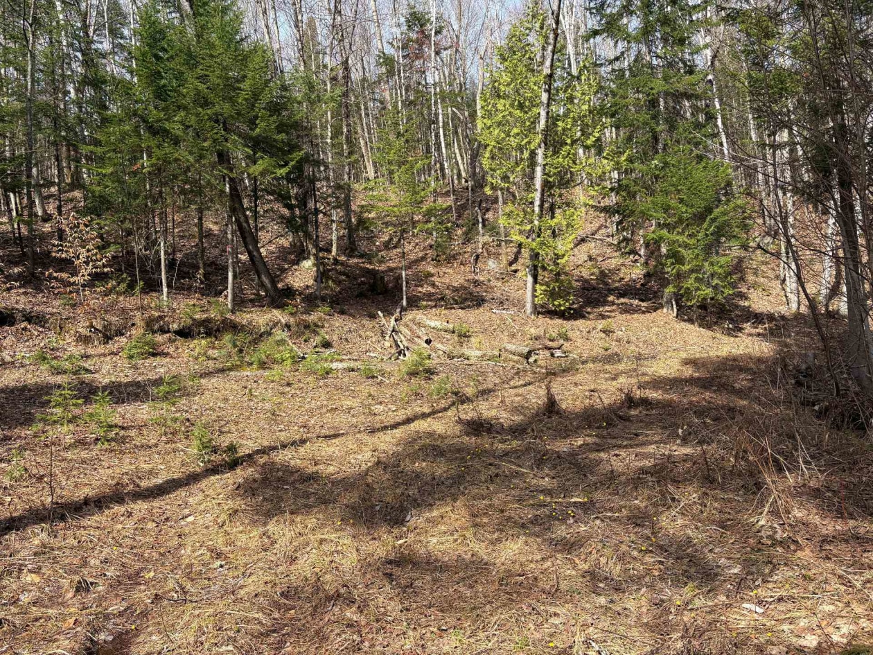 Terrain — Rg Ste-Agathe, Sainte-Béatrix, J0K1Y0, Sainte-Béatrix