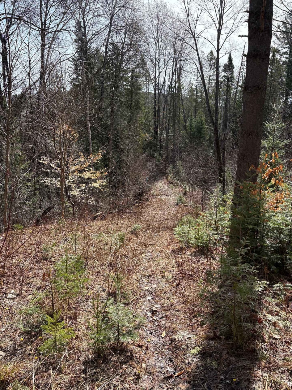 Terrain — Rg Ste-Agathe, Sainte-Béatrix, J0K1Y0, Sainte-Béatrix
