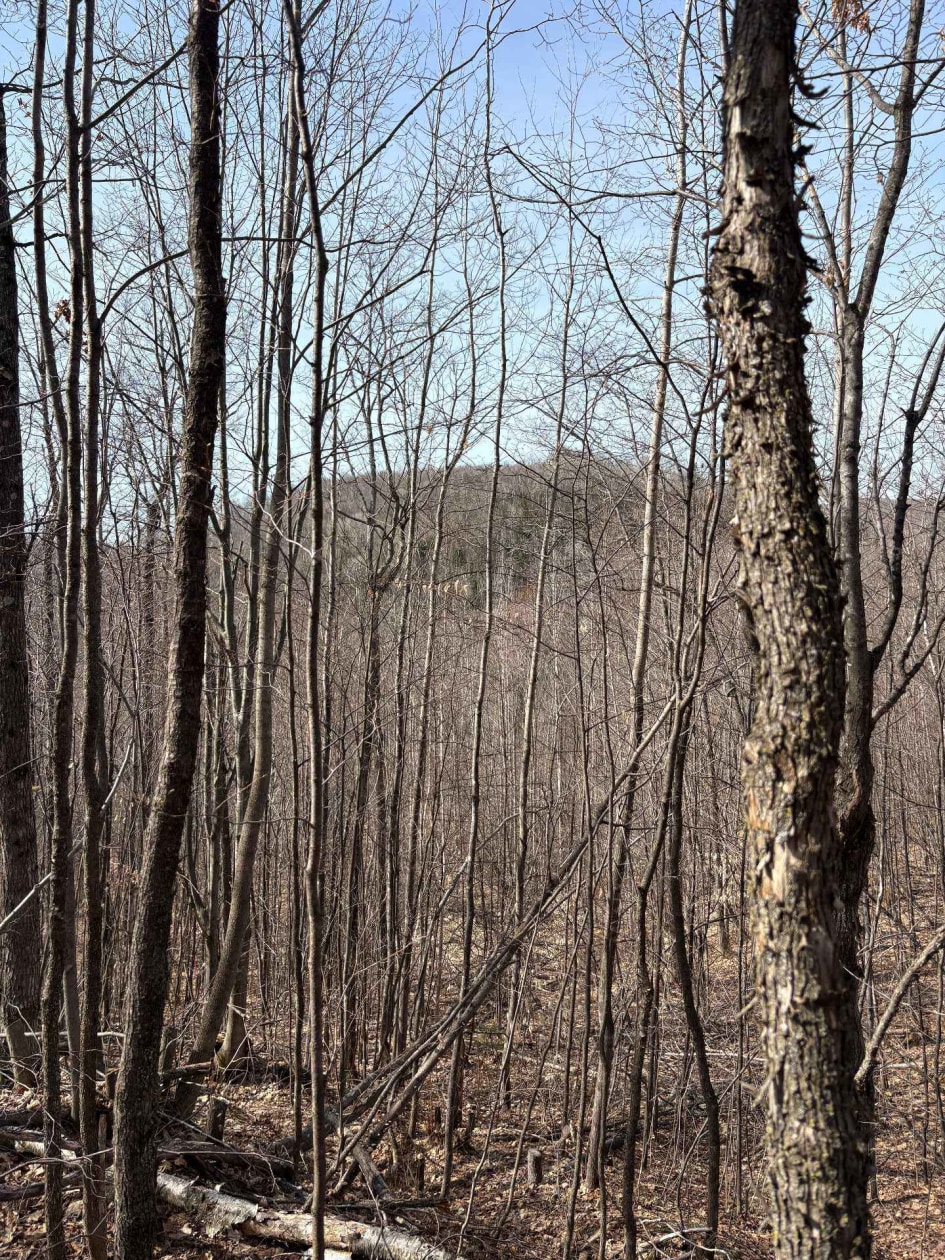 Terrain — Rg Ste-Agathe, Sainte-Béatrix, J0K1Y0, Sainte-Béatrix