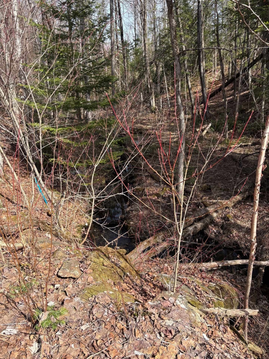 Terrain — Rg Ste-Agathe, Sainte-Béatrix, J0K1Y0, Sainte-Béatrix