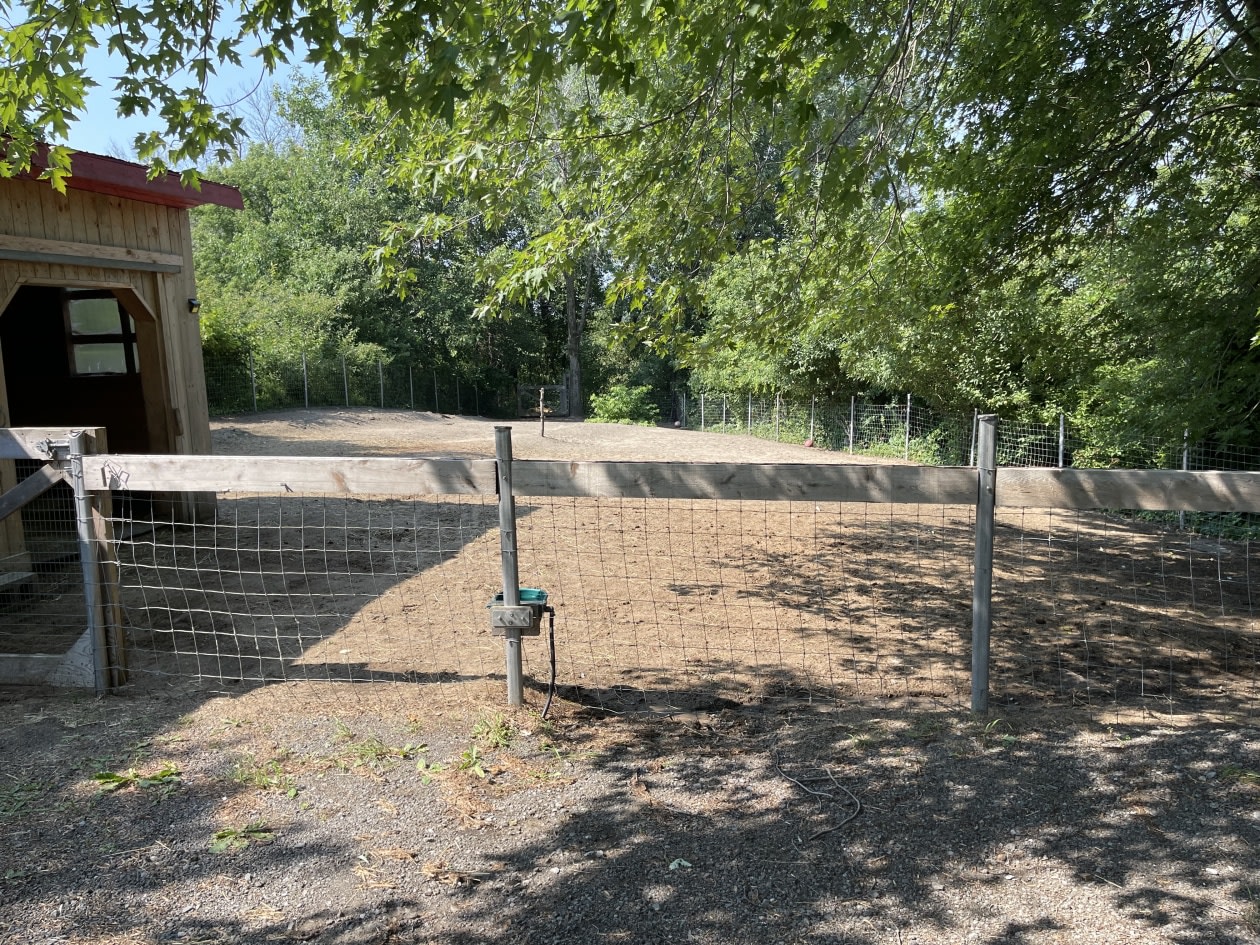 Photo 7 — 355 Rang de la Grande-Chaloupe, Saint-Thomas, J0K 3L0, Saint-Thomas