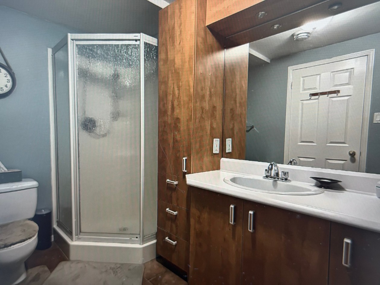 Salle de bains — 938, Rue des Défibreurs, Saguenay (Chicoutimi), G7J4X5, Saguenay (Chicoutimi)