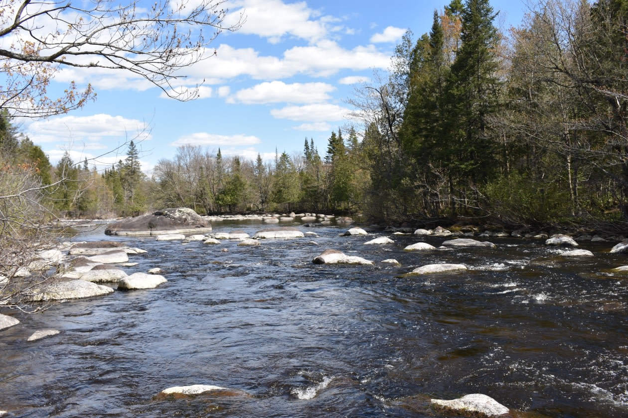 Accès au plan d'eau — 671 Chemin de la Rivière, 201, Sainte-Agathe-des-Monts, J8C 0X9, Sainte-Agathe-des-Monts