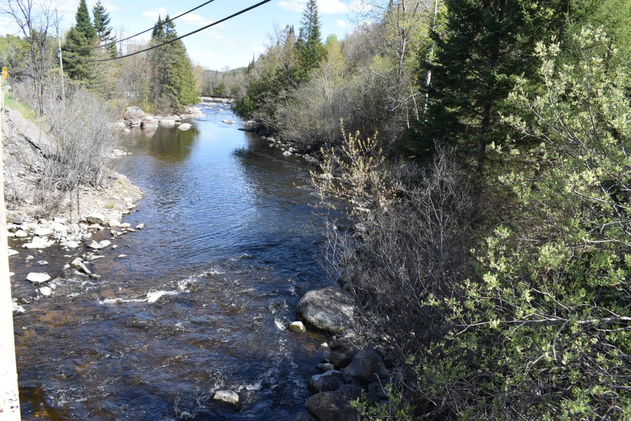 Accès au plan d'eau — 671 Chemin de la Rivière, 201, Sainte-Agathe-des-Monts, J8C 0X9, Sainte-Agathe-des-Monts