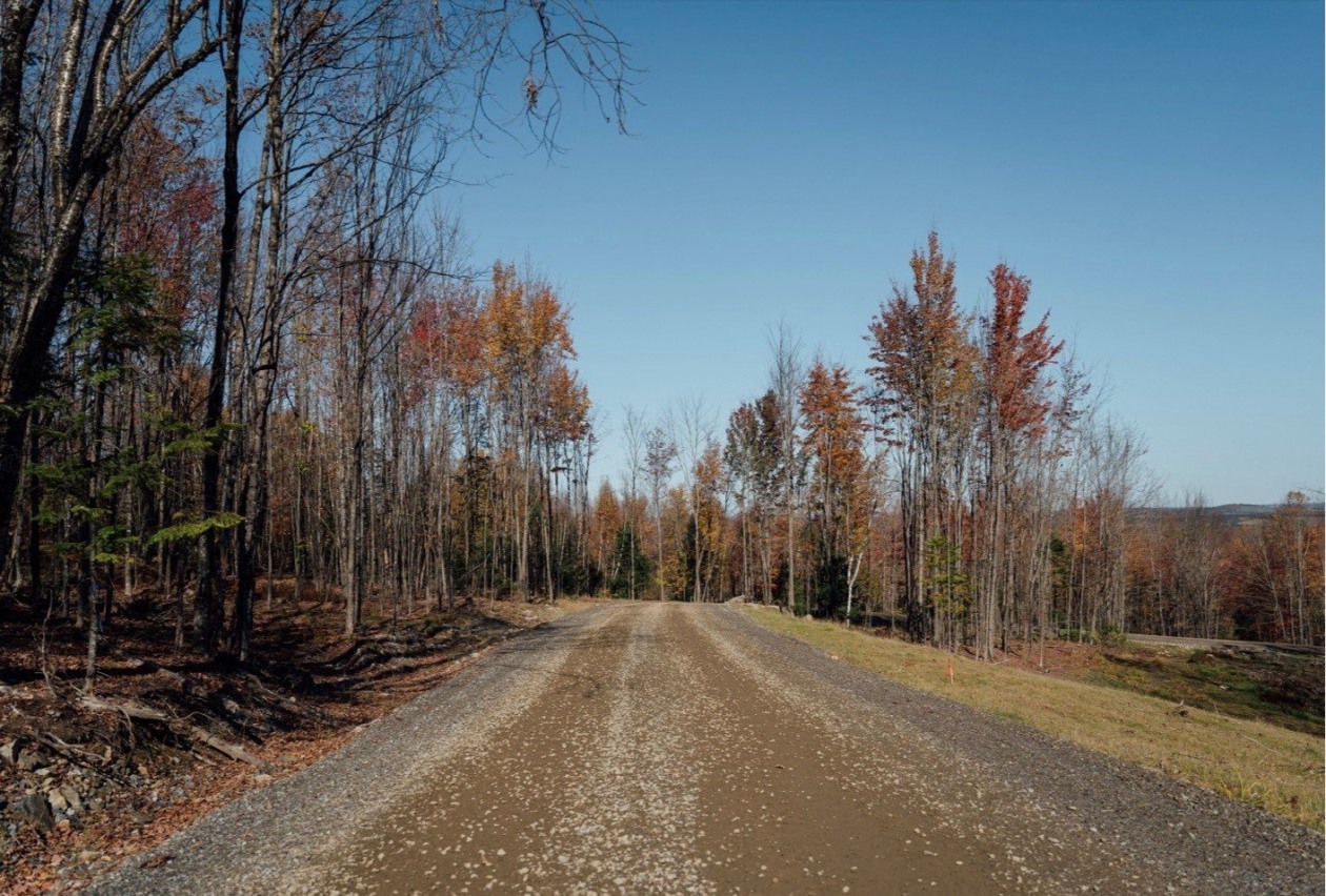 Terrain — Route du Lac-Ruel, Saint-Romain, G0Y1L0, Saint-Romain