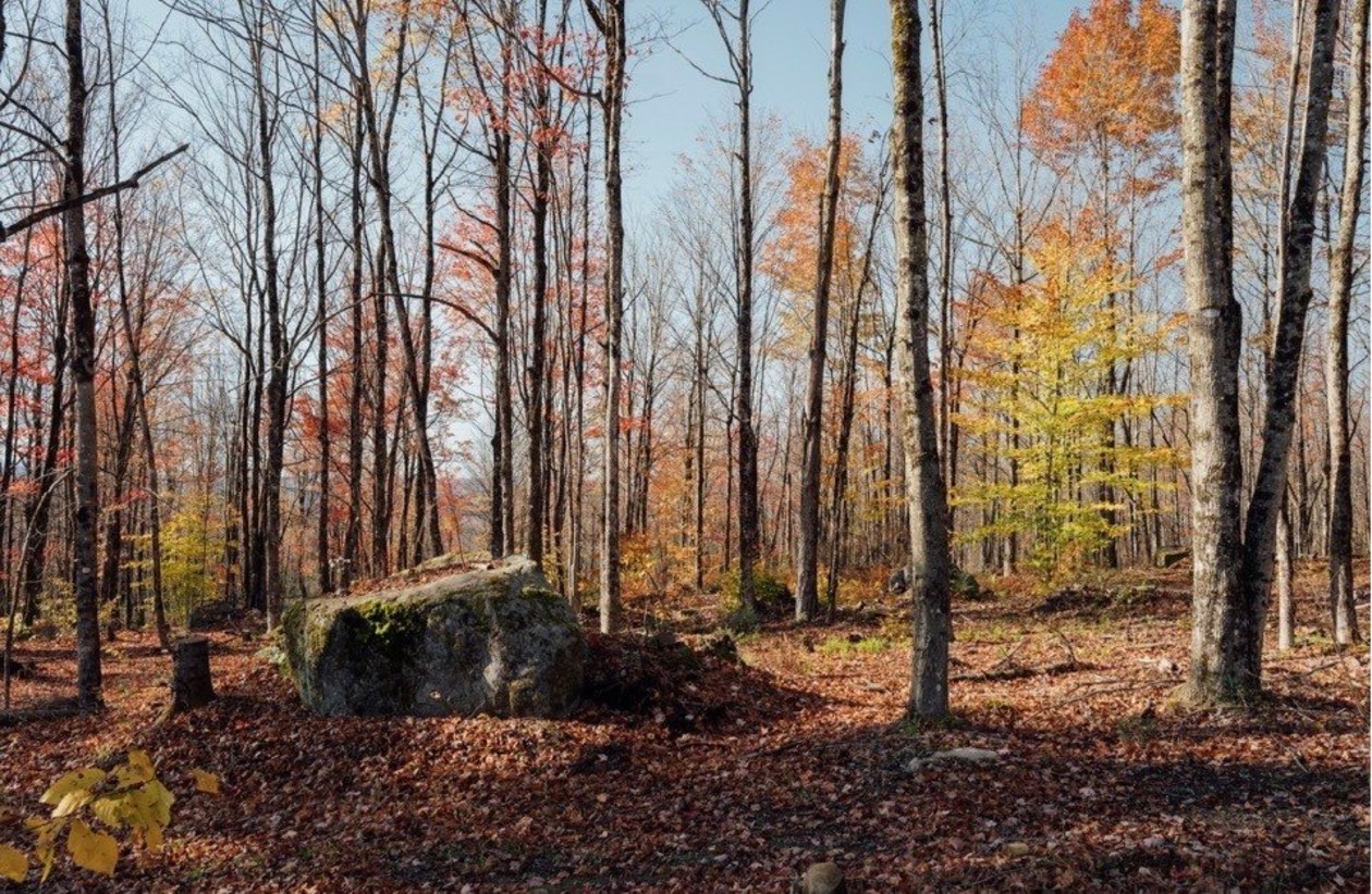 Terrain — Route du Lac-Ruel, Saint-Romain, G0Y1L0, Saint-Romain