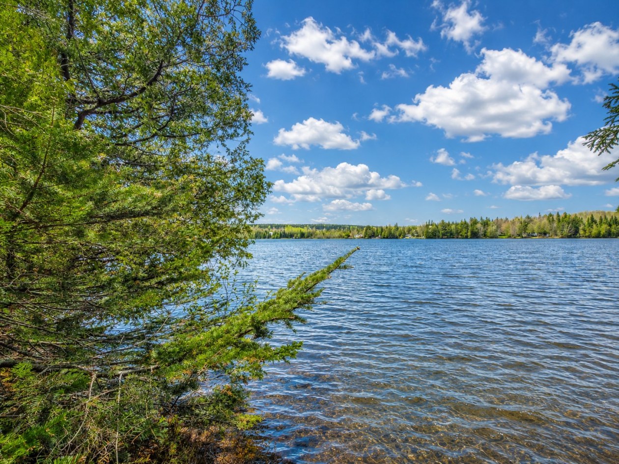 635, Ch. du Lac-des-Trois-Milles E. — photo 2