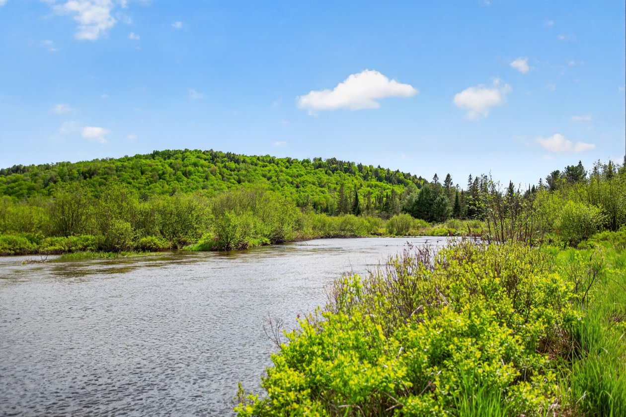 Bord de l'eau — 331 Rue des Pêcheurs, Saint-Alexis-Des-Monts, J0K 1V0, Saint-Alexis-Des-Monts