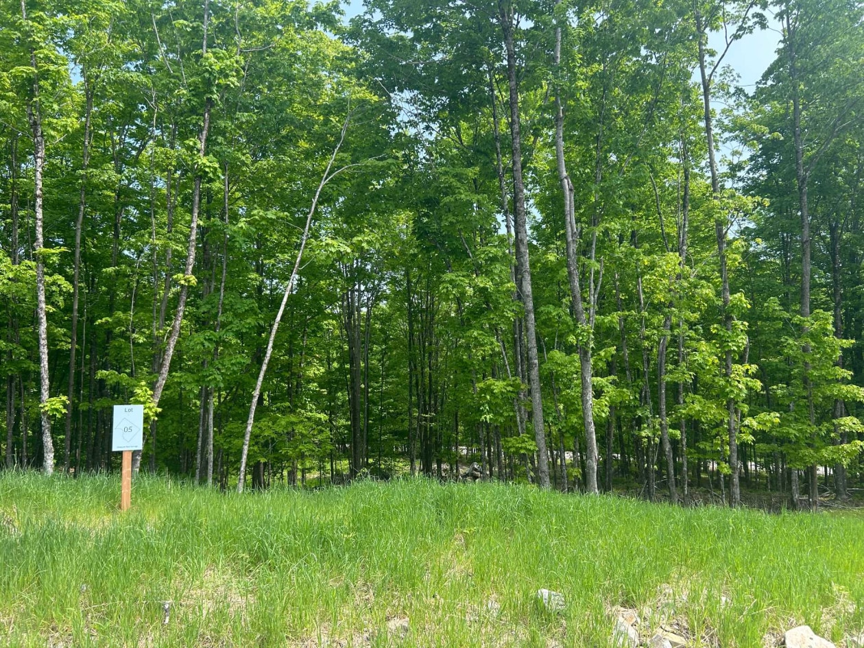 Boisé — Route du Lac-Ruel, Saint-Romain, G0Y1L0, Saint-Romain