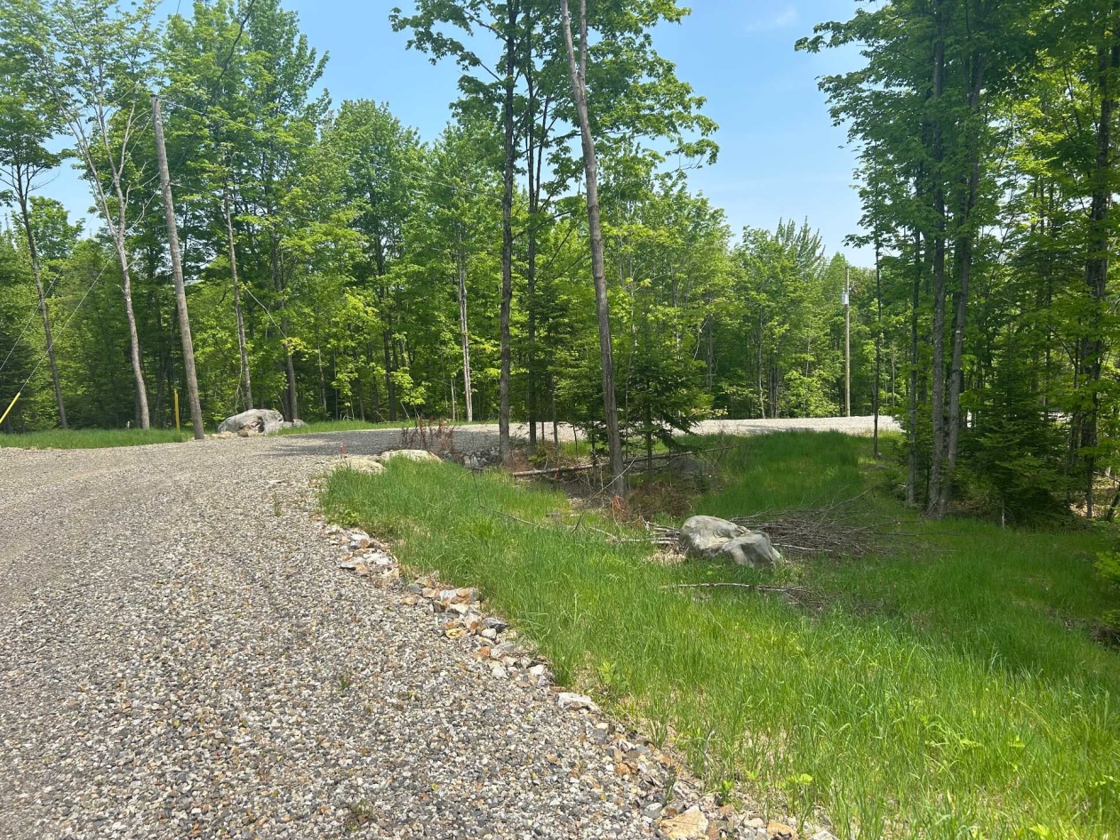 Boisé — Route du Lac-Ruel, Saint-Romain, G0Y1L0, Saint-Romain