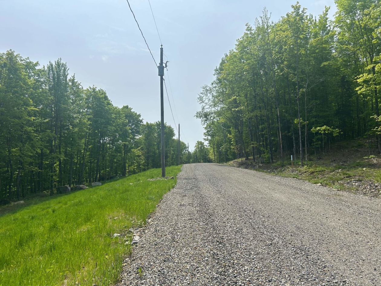 Boisé — Route du Lac-Ruel, Saint-Romain, G0Y1L0, Saint-Romain