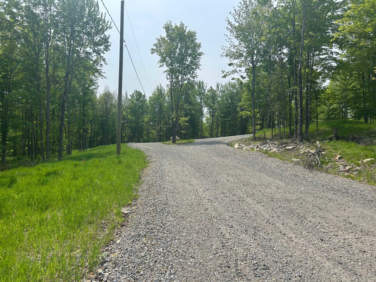 Boisé — Route du Lac-Ruel, Saint-Romain, G0Y1L0, Saint-Romain