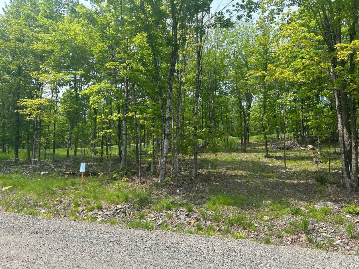 Boisé — Route du Lac-Ruel, Saint-Romain, G0Y1L0, Saint-Romain