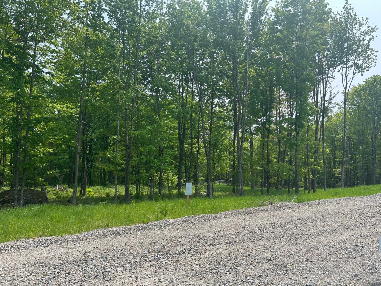 Cour — Route du Lac-Ruel, Saint-Romain, G0Y1L0, Saint-Romain