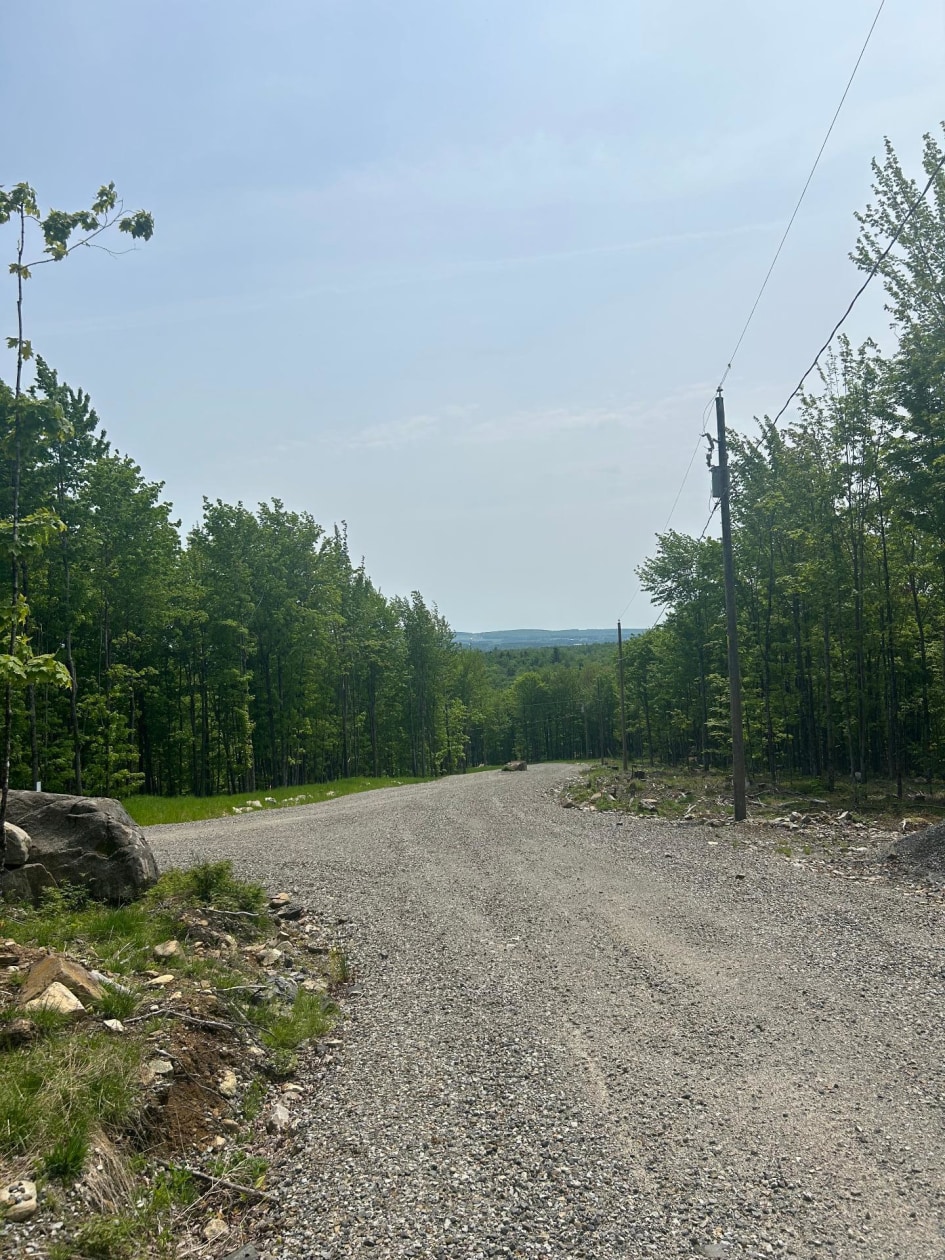 Boisé — Route du Lac-Ruel, Saint-Romain, G0Y1L0, Saint-Romain