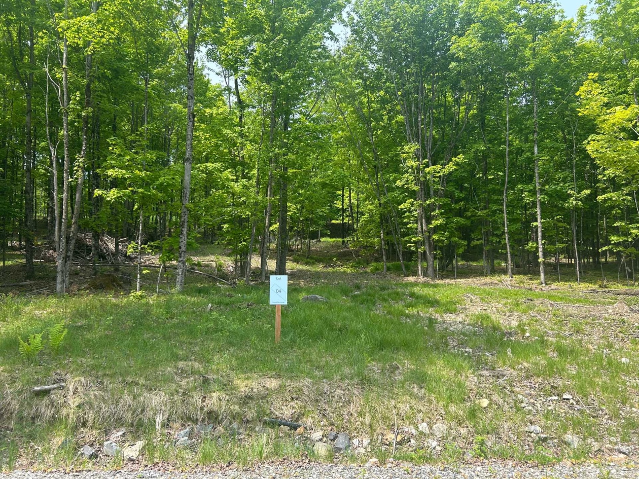 Terrain — Route du Lac-Ruel, Saint-Romain, G0Y1L0, Saint-Romain