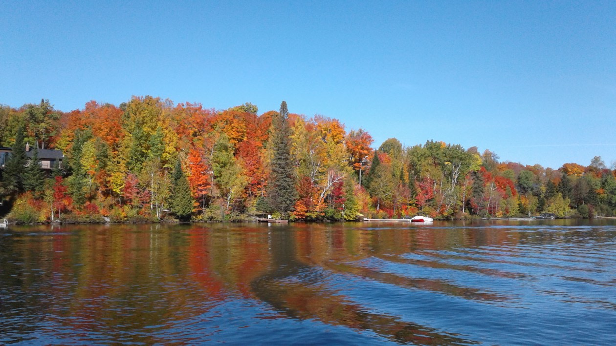 Photo 25 — 24 Rue du Sentier-du-Sommet, Ste-Marguerite-du-Lac-Masson, J0T 1L0, Ste-Marguerite-du-Lac-Masson