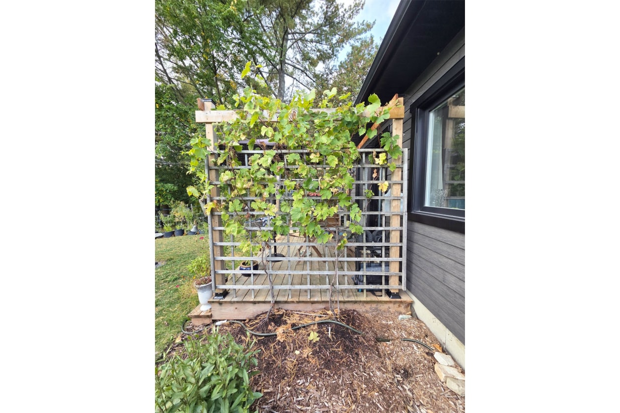 Extérieur — 3467, Rue Galt O., Sherbrooke (Les Nations), J1K3B9, Sherbrooke (Les Nations)