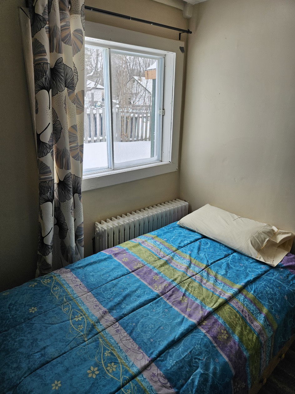 Photo 8 — 185 rue Saint-Vincent, Ste-Agathe-des-Monts, J8C 2B5, Ste-Agathe-des-Monts