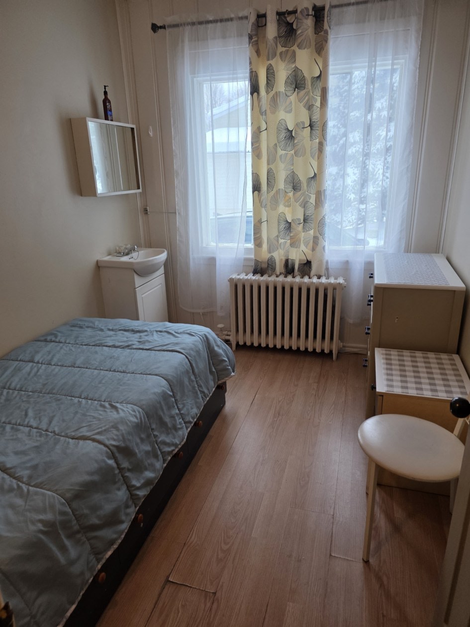 Photo 10 — 185 rue Saint-Vincent, Ste-Agathe-des-Monts, J8C 2B5, Ste-Agathe-des-Monts