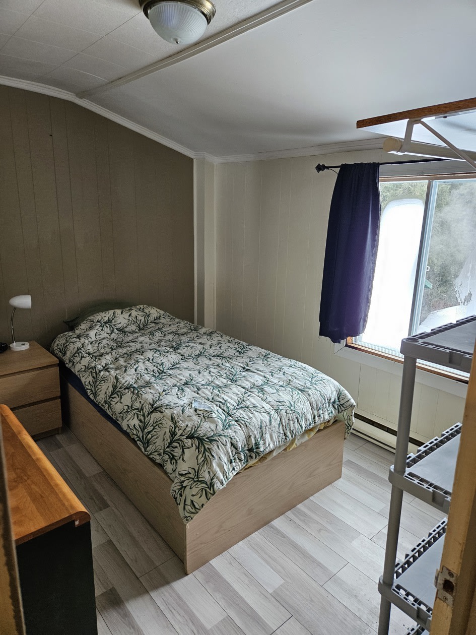 Photo 17 — 185 rue Saint-Vincent, Ste-Agathe-des-Monts, J8C 2B5, Ste-Agathe-des-Monts