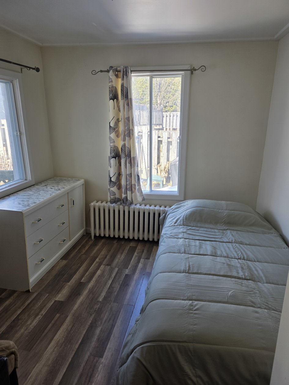 Photo 18 — 185 rue Saint-Vincent, Ste-Agathe-des-Monts, J8C 2B5, Ste-Agathe-des-Monts