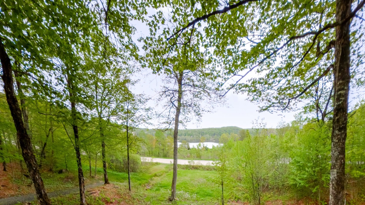 Bord de l'eau — 22190, Ch. du Lac-Blanc, Saint-Ubalde, G0A4L0, Saint-Ubalde