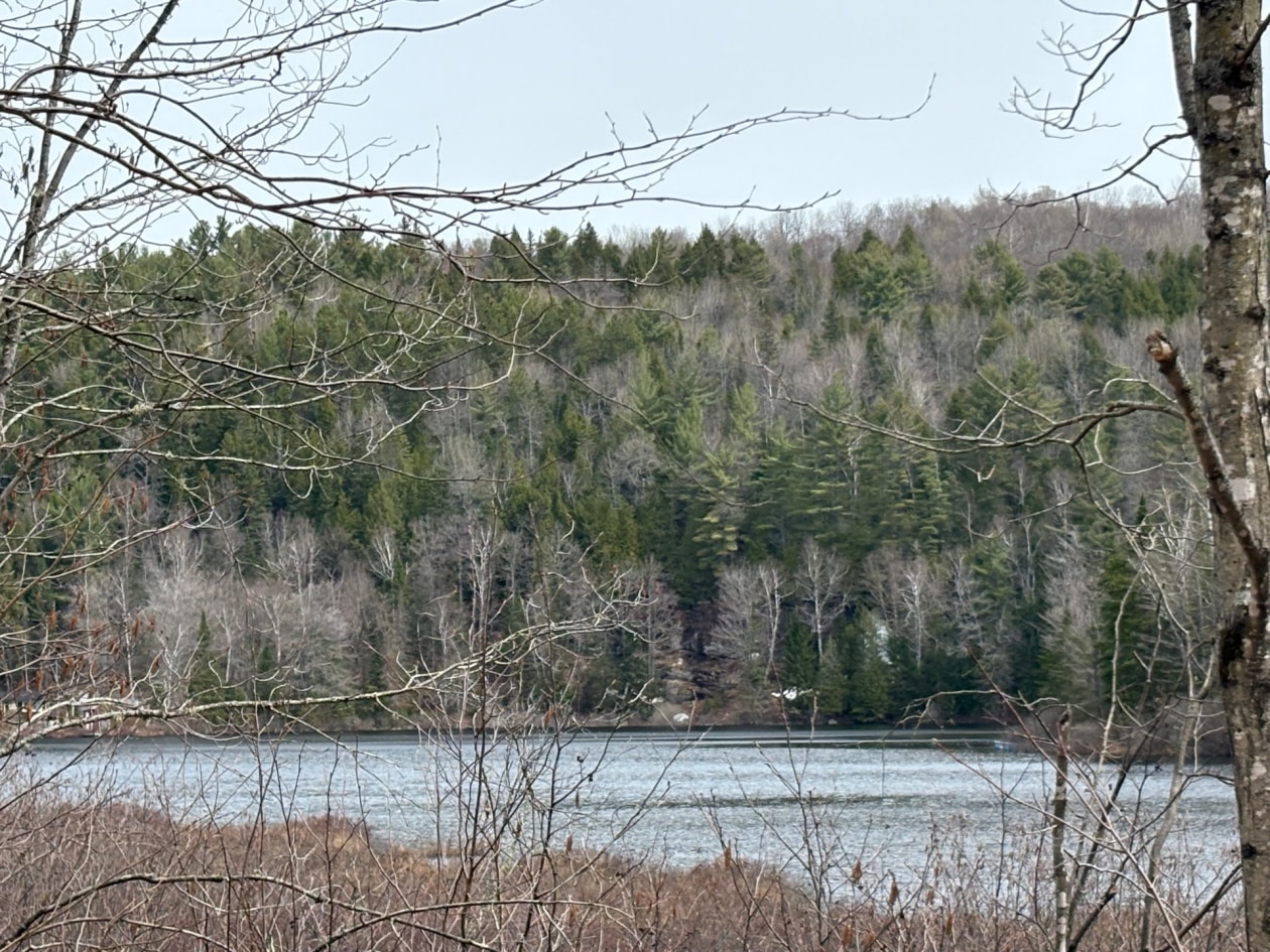 Bord de l'eau — Ch. Desrochers, Saint-Damien, J0K2E0, Saint-Damien