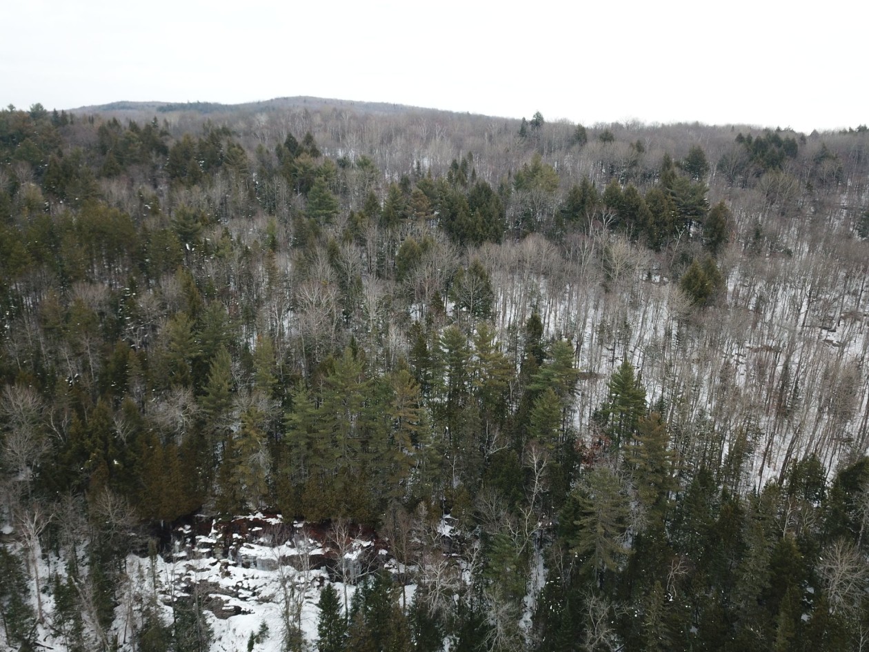 Vue d'ensemble — Ch. Desrochers, Saint-Damien, J0K2E0, Saint-Damien