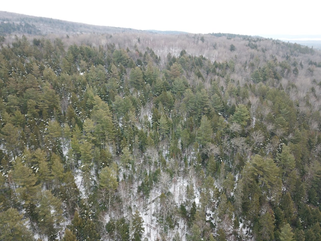 Vue d'ensemble — Ch. Desrochers, Saint-Damien, J0K2E0, Saint-Damien