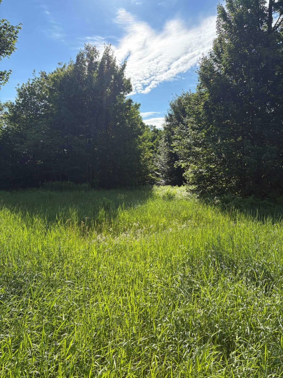 Av. Émery — photo 3