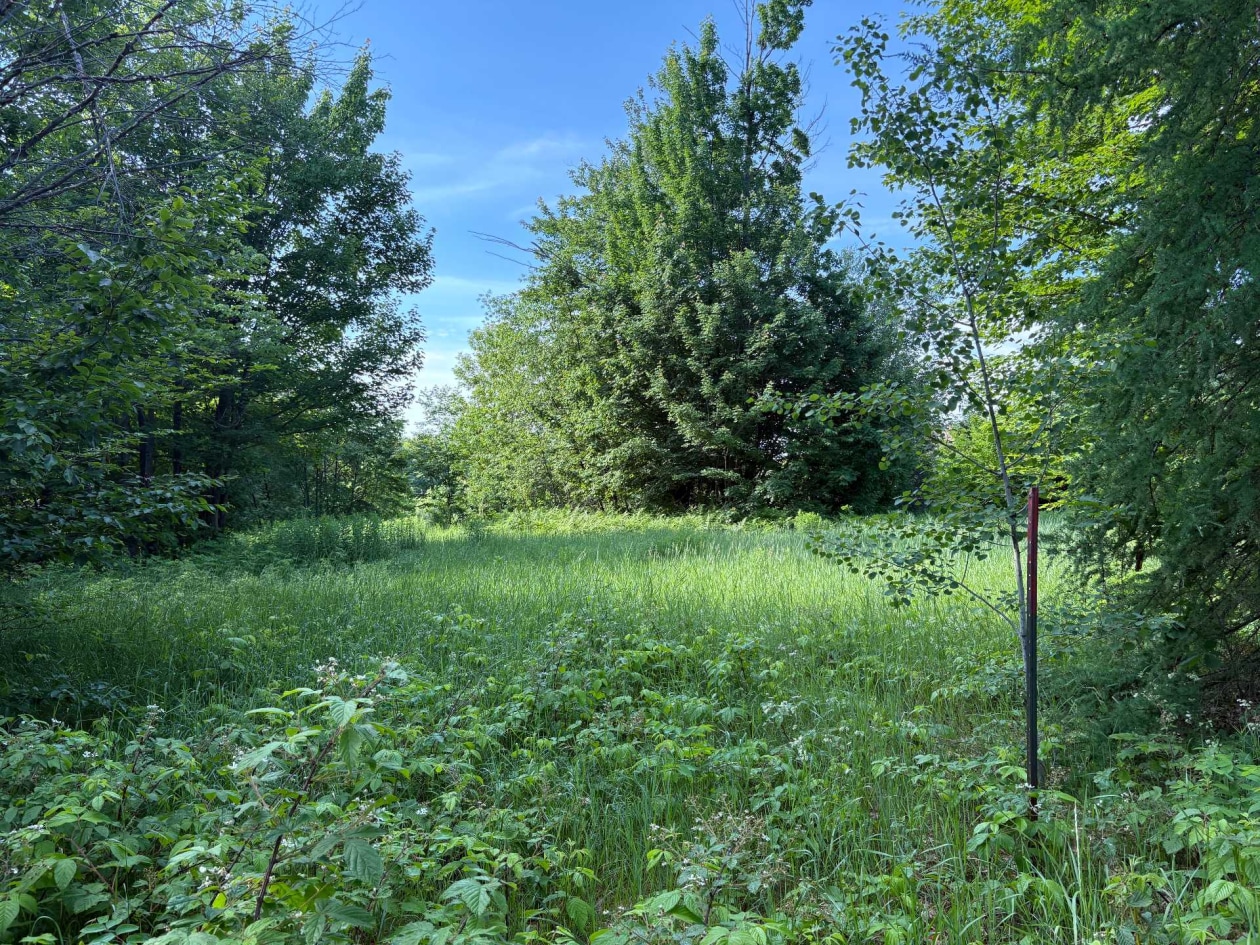 Terrain — Av. Émery , Saint-Félix-de-Valois, J0K2M0, Saint-Félix-de-Valois