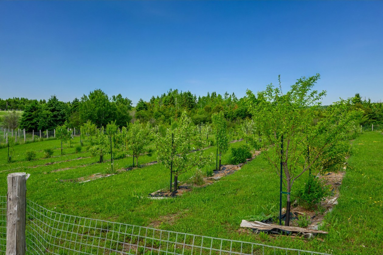 Terrain — 224, 4e Rang O., Saint-Anaclet-de-Lessard, G0K1H0, Saint-Anaclet-de-Lessard