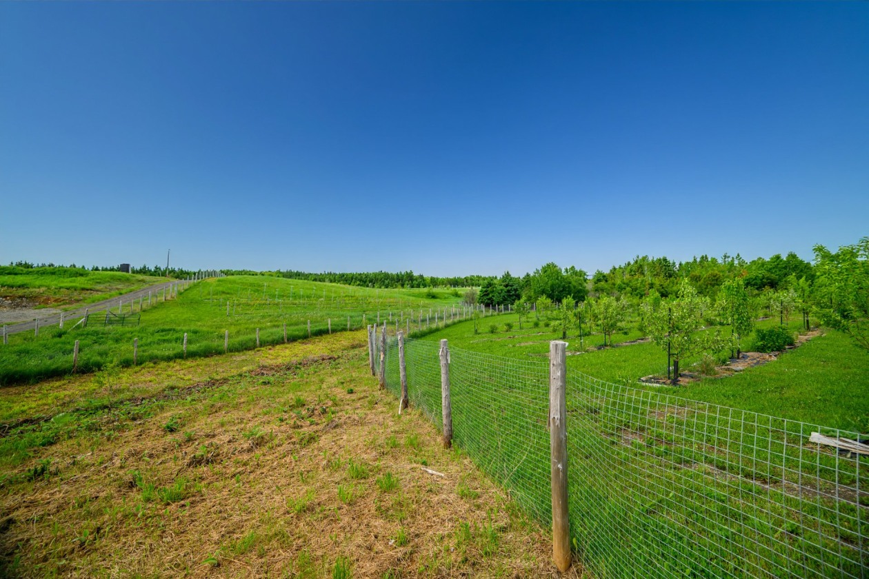 Terrain — 224, 4e Rang O., Saint-Anaclet-de-Lessard, G0K1H0, Saint-Anaclet-de-Lessard