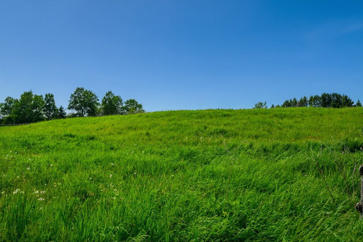 Terrain — 224, 4e Rang O., Saint-Anaclet-de-Lessard, G0K1H0, Saint-Anaclet-de-Lessard