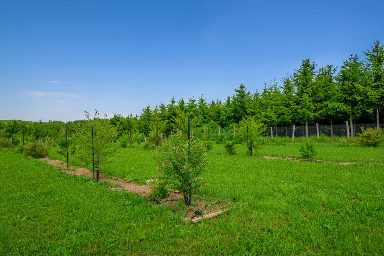 Terrain — 224, 4e Rang O., Saint-Anaclet-de-Lessard, G0K1H0, Saint-Anaclet-de-Lessard