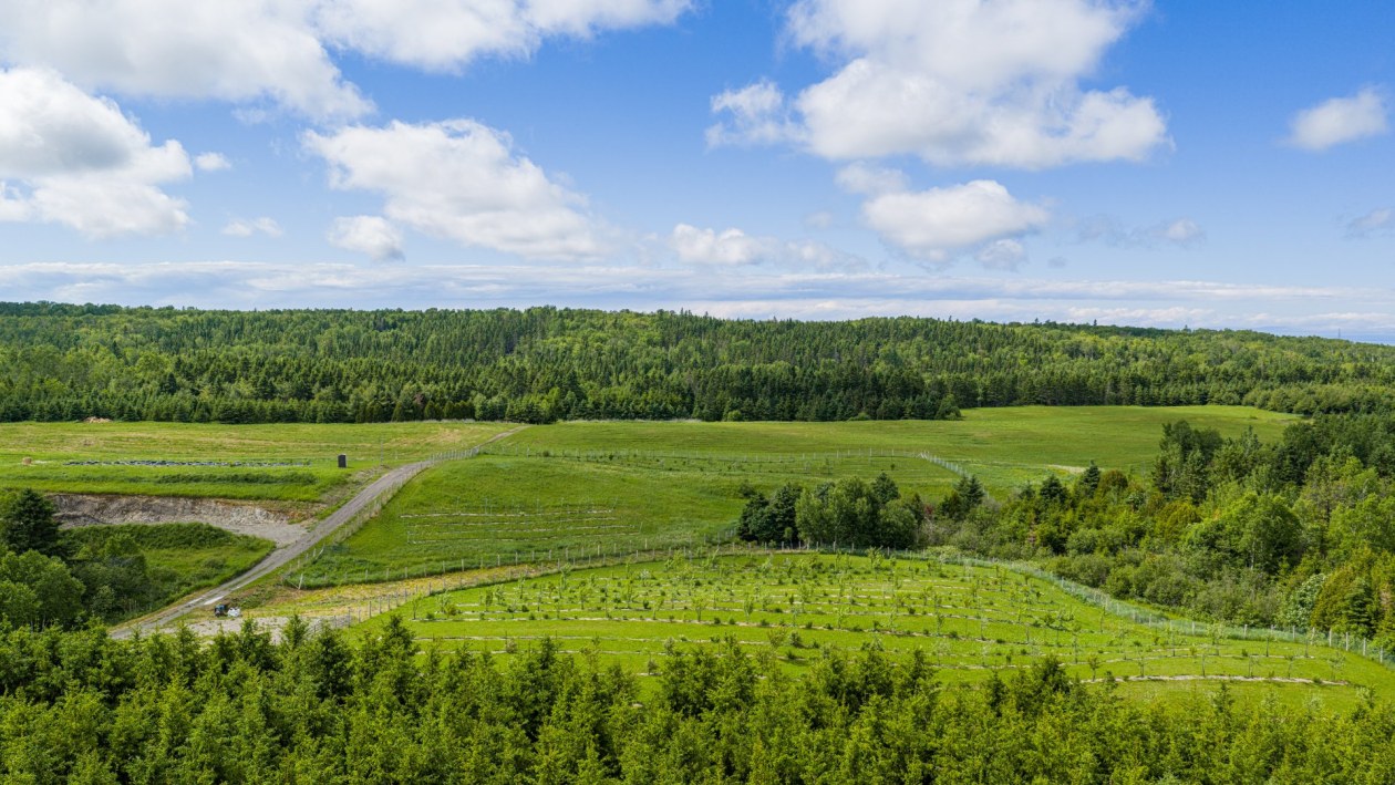 Terrain — 224, 4e Rang O., Saint-Anaclet-de-Lessard, G0K1H0, Saint-Anaclet-de-Lessard