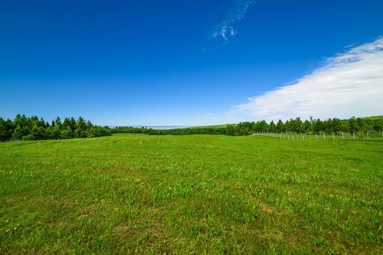 Terrain — 224, 4e Rang O., Saint-Anaclet-de-Lessard, G0K1H0, Saint-Anaclet-de-Lessard