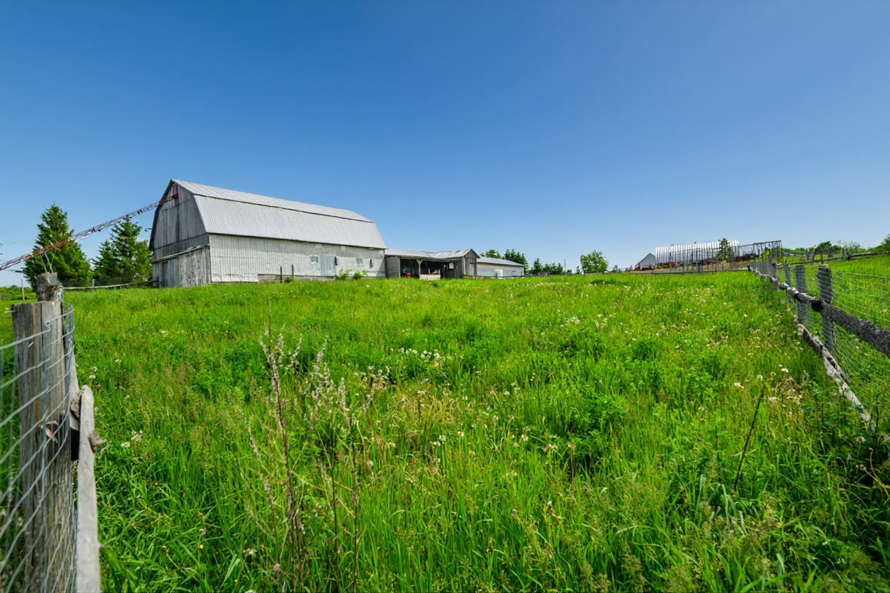 Terrain — 224, 4e Rang O., Saint-Anaclet-de-Lessard, G0K1H0, Saint-Anaclet-de-Lessard