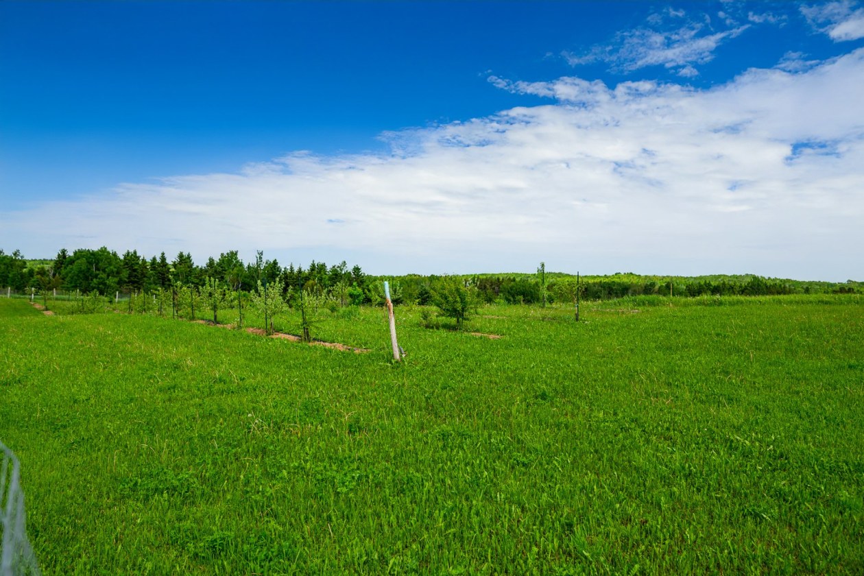 Terrain — 224, 4e Rang O., Saint-Anaclet-de-Lessard, G0K1H0, Saint-Anaclet-de-Lessard