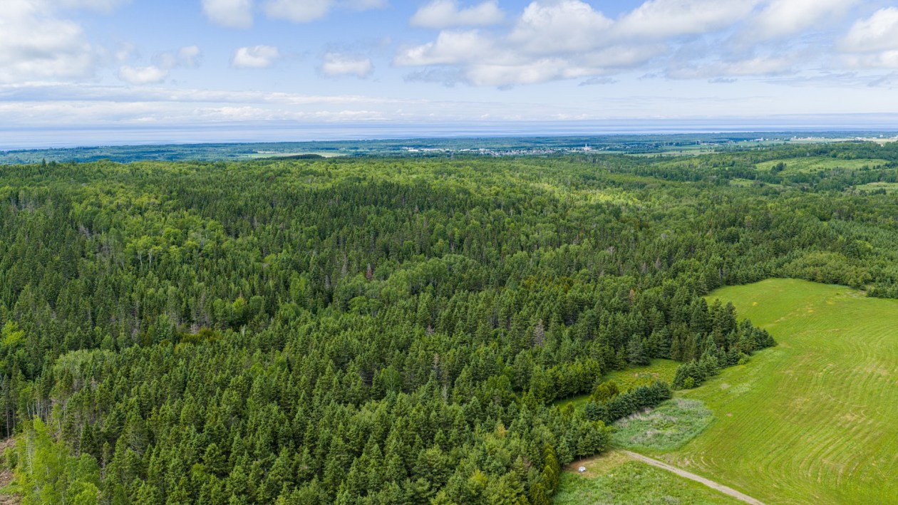 Boisé — 224, 4e Rang O., Saint-Anaclet-de-Lessard, G0K1H0, Saint-Anaclet-de-Lessard