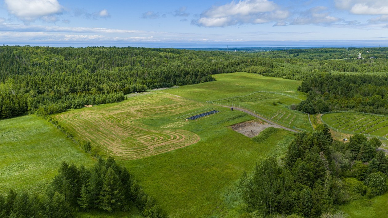 Terrain — 224, 4e Rang O., Saint-Anaclet-de-Lessard, G0K1H0, Saint-Anaclet-de-Lessard