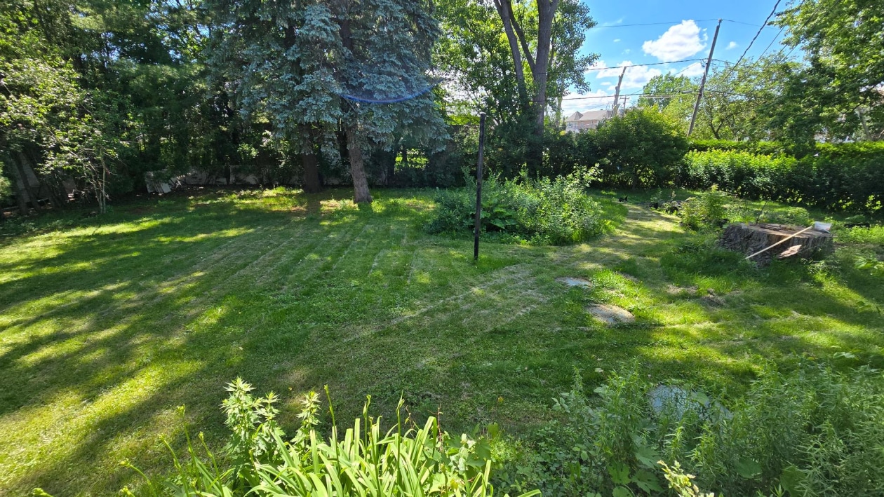 Cour — 118, Rue Bedford, Baie-d'Urfé, H9X3A1, Baie-d'Urfé